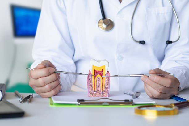 Best Emergency Treatment for Oral Infections in Lake Lorraine, FL